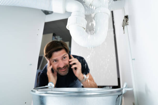 Best Clogged Drain Plumber  in Martinsburg, PA